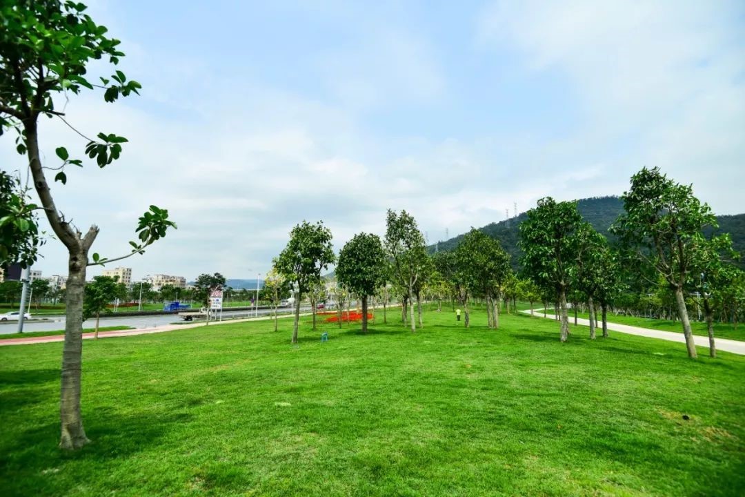 1604397315249582.jpg 01.jpg