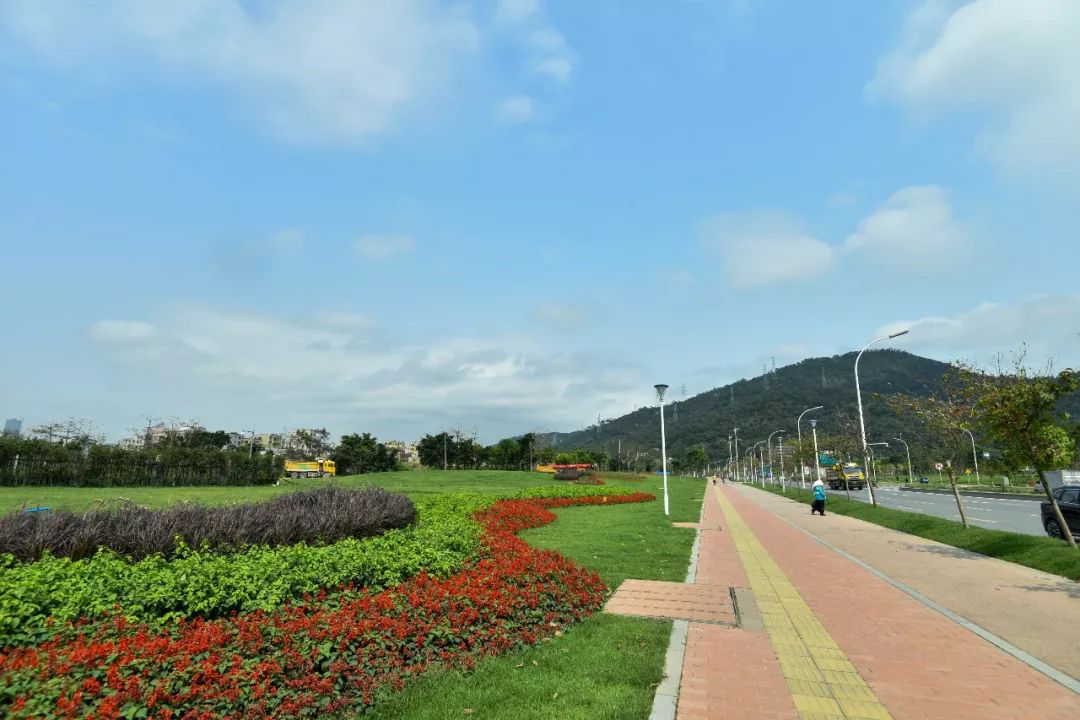 1604397346202856.png 02.png