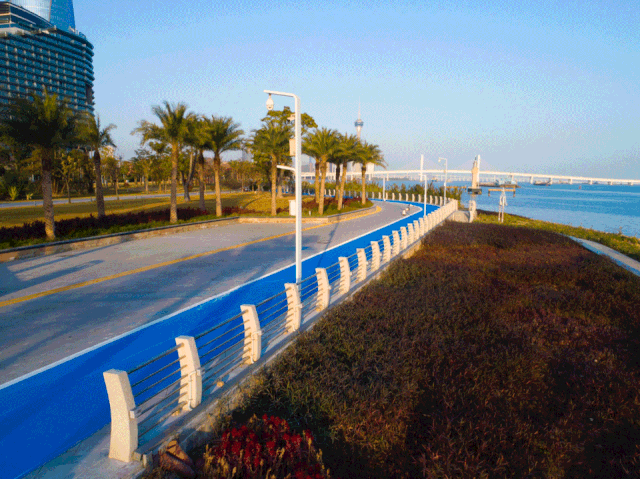 1604479205181145.gif 08.gif