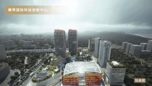 1604564688286030.gif 05.gif