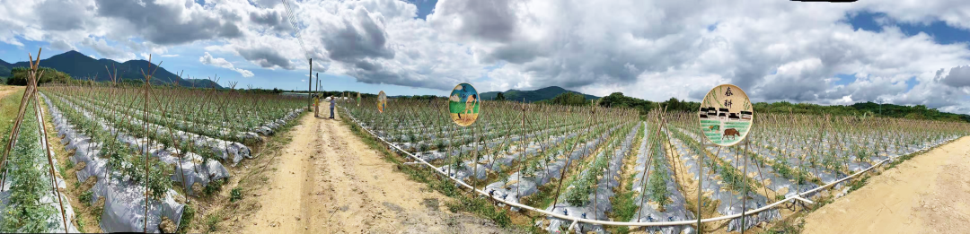 1620284697.png 1620284697.png