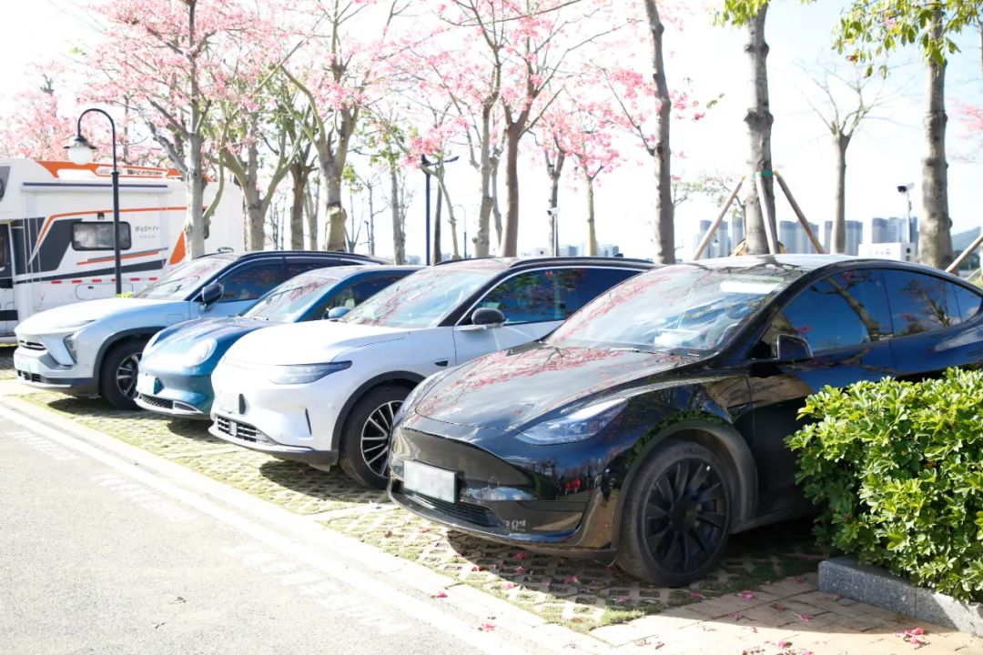 1670482483664554.jpg 640 (4).jpg