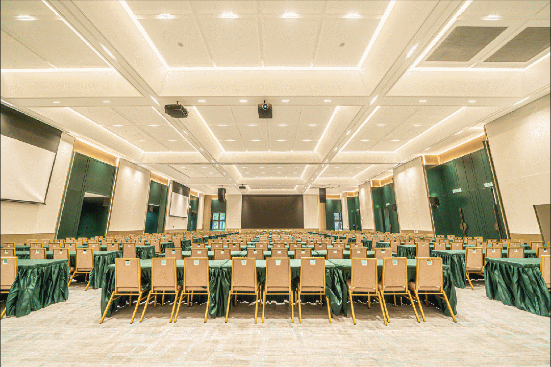 1704178603476998.gif 4.gif