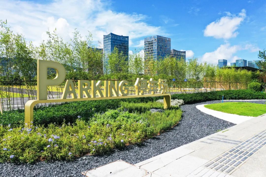 1704180383705696.jpg 17.jpg